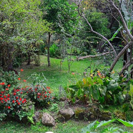 Apartament Hospedagem Caminho Da Angelica Vale do Capao Zewnętrze zdjęcie